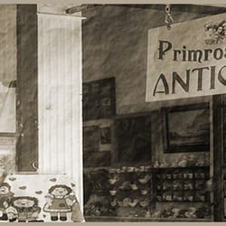 Primrose Lane Antiques