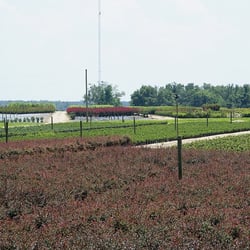 Plant Me Green - Plant Me Green nursery