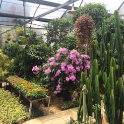 Floricultura Primavera