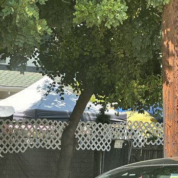 Rose Tree Cottage - Their outside "garden" looks junky. - Tea Rooms Near Me - Pasadena, California
