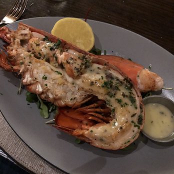 Harvest - The lobster had great flavor, but could have been more tender - New American Near Me - Las Vegas, Nevada Harvest - The lobster had great flavor, but could have been more tender - New American Near Me - Las Vegas, Nevada