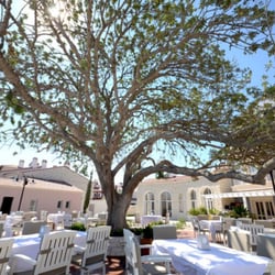 Port Villa Deniz Balık Restaurant - The beautiful tree in the middle of the dining area.