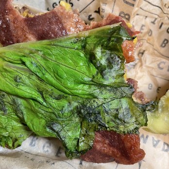 Wayback Burgers - This was my first time ordering from Wayback my lettuce came wilting and with black on the leafs the burger had no taste - Burgers Near Me - Irving, Texas Wayback Burgers - This was my first time ordering from Wayback my lettuce came wilting and with black on the leafs the burger had no taste - Burgers Near Me - Irving, Texas