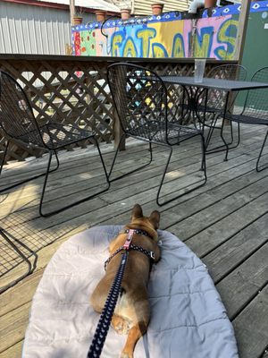 Fat Dan's Deli by null