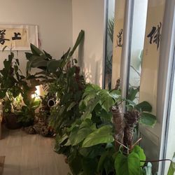 Zhou Wellness - Relaxation Lobby