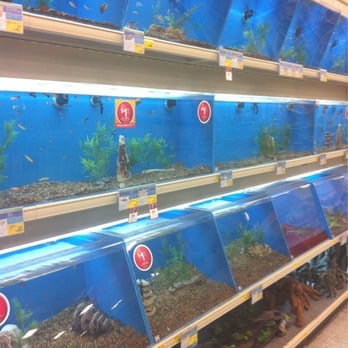 PetSmart - Fish - Pet Training Near Me - Las Vegas, Nevada PetSmart - Fish - Pet Training Near Me - Las Vegas, Nevada