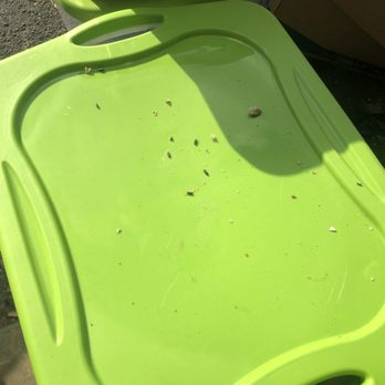 iStorage - Rat droppings on top of my bins - Self Storage Near Me - Fort Lauderdale, Florida iStorage - Rat droppings on top of my bins - Self Storage Near Me - Fort Lauderdale, Florida