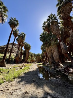 Indian Canyons by null