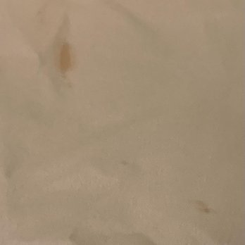 Quality Inn At Town Center - Bedsheet, two stains and there was also hair on the sheet. - Hotels Near Me - Beaufort, South Carolina