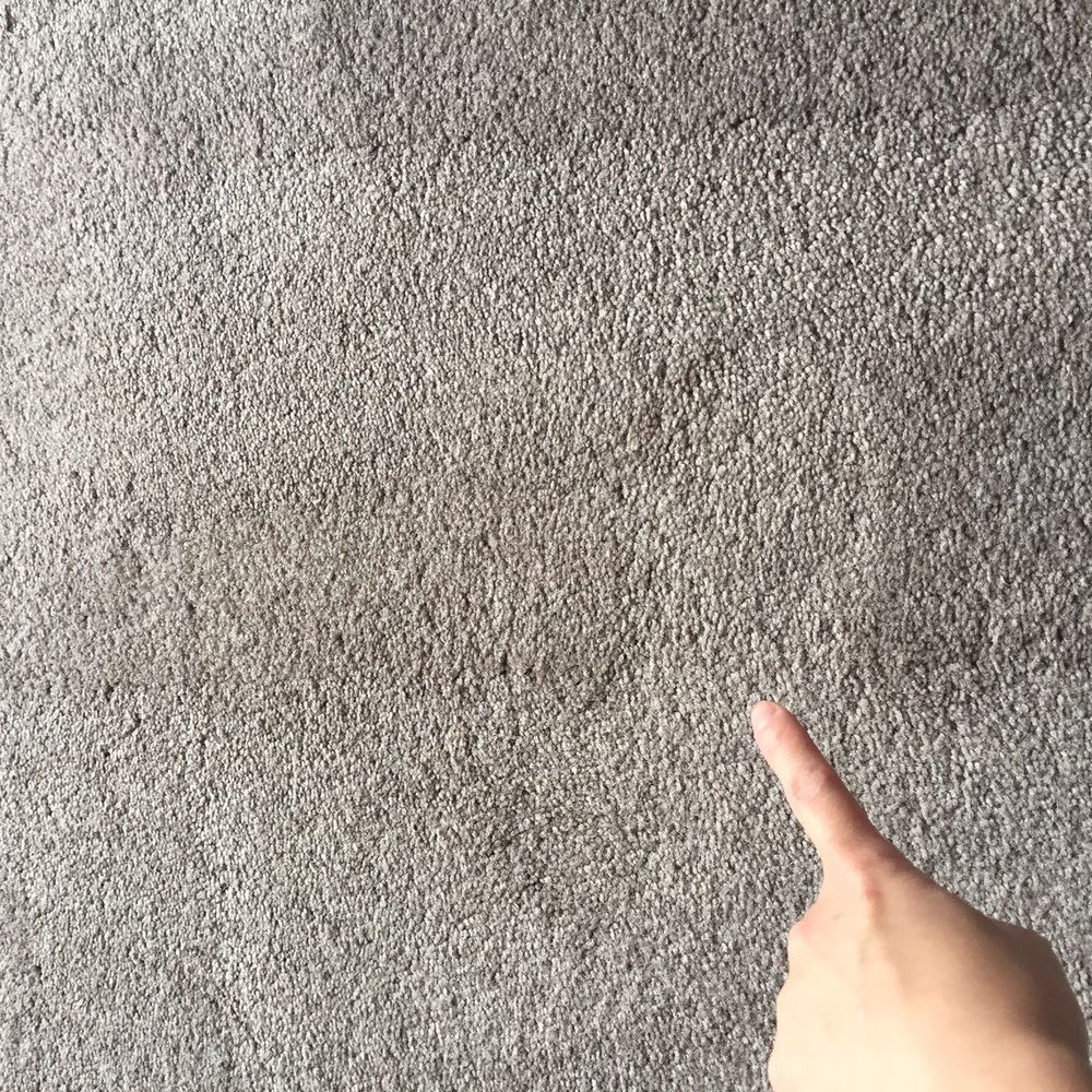 Carpet Recovery Plus - After - Carpet Cleaning Near Me - Princeton, New Jersey Carpet Recovery Plus - After - Carpet Cleaning Near Me - Princeton, New Jersey