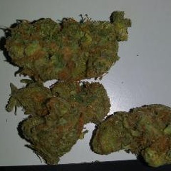 Mecca Mid City - SLH- Super Lemon Haze - Cannabis Dispensaries Near Me - Los Angeles, California Mecca Mid City - SLH- Super Lemon Haze - Cannabis Dispensaries Near Me - Los Angeles, California