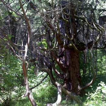 Mount Pisgah Arboretum - Venues & Event Spaces Near Me - Eugene, Oregon