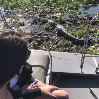 Wild Willy's Airboat Tours - Boat Tours Near Me - Saint Cloud, Florida