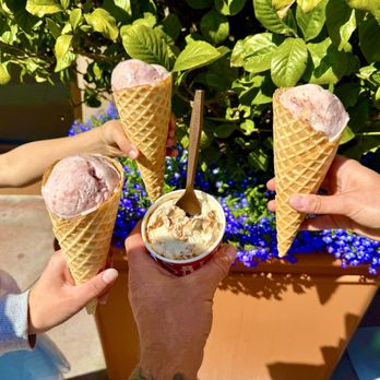 Salt & Straw - Ice Cream CHEERS! - Ice Cream & Frozen Yogurt Near Me - Anaheim, California
