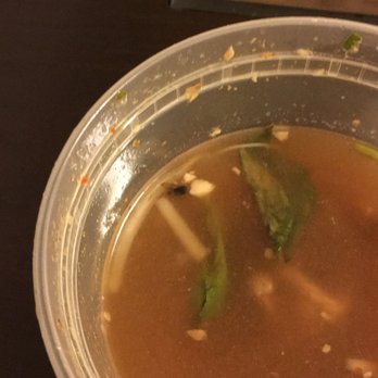 Noodlehead - Dead fly in my noodles - Thai Near Me - Pittsburgh, Pennsylvania Noodlehead - Dead fly in my noodles - Thai Near Me - Pittsburgh, Pennsylvania
