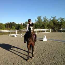 Silver Dollar Stables