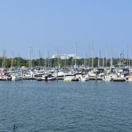 Beautiful marina, plenty of boat slips! Beautiful marina, plenty of boat slips!