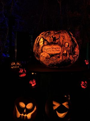 Minnesota Zoo by null