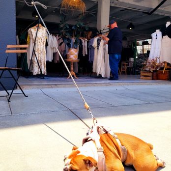 Heavenlynest - Dog - Gift Shops Near Me - Fremont, California Heavenlynest - Dog - Gift Shops Near Me - Fremont, California