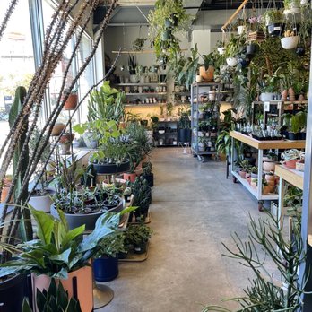 Sprout Home - Nurseries & Gardening Near Me - Chicago, Illinois