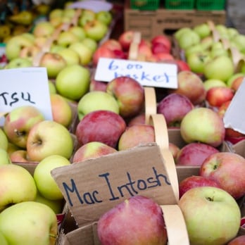 Brampton Farmers Market - apples for sale - Farmers Market Near Me - Brampton, Ontario Brampton Farmers Market - apples for sale - Farmers Market Near Me - Brampton, Ontario