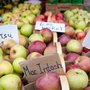 Photo of Brampton Farmers Market