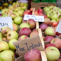 Brampton Farmers Market