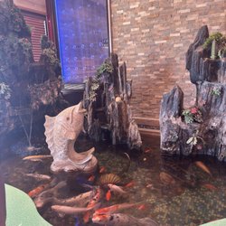 Hibachi Grill & Buffet - Koi pond