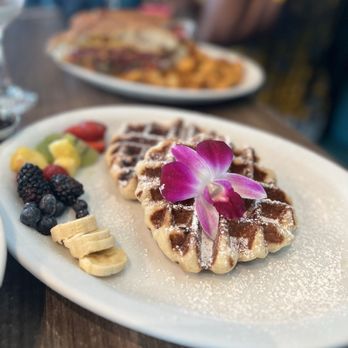 Bistro Cafe - Waffles and fruit - Breakfast & Brunch Near Me - Miami, Florida Bistro Cafe - Waffles and fruit - Breakfast & Brunch Near Me - Miami, Florida