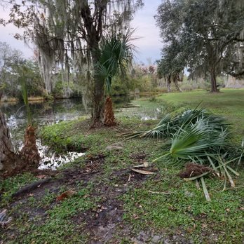Brian L Giddings Services - a view of a pond and palm trees - Lawn Services Near Me - Inverness, Florida Brian L Giddings Services - a view of a pond and palm trees - Lawn Services Near Me - Inverness, Florida