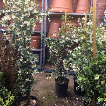 A&A Nursery - Nurseries & Gardening Near Me - Los Angeles, California