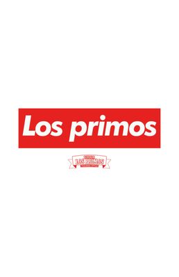 Birria Los Primos by null
