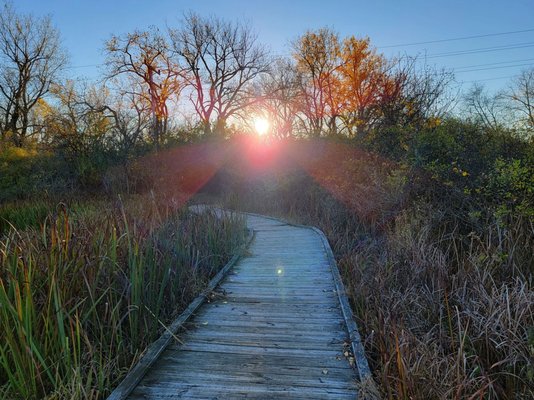 Tifft Nature Preserve by null