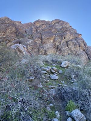 Tahquitz Canyon by null