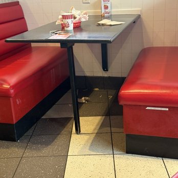 Freddy's Frozen Custard & Steakburgers - Ice Cream & Frozen Yogurt Near Me - Durango, Colorado Freddy's Frozen Custard & Steakburgers - Ice Cream & Frozen Yogurt Near Me - Durango, Colorado