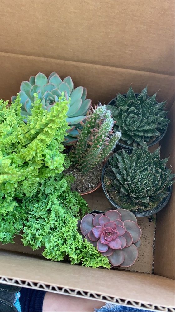 RICHMOND NURSERY Updated May 2024 5740 Old Richmond Road, Richmond