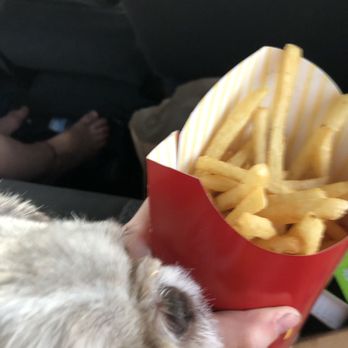 McDonald's - My dog trying to steal fries - Fast Food Near Me - Warrenton, Missouri