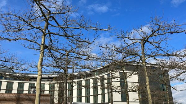 The Ritz-Carlton, Wolfsburg by null