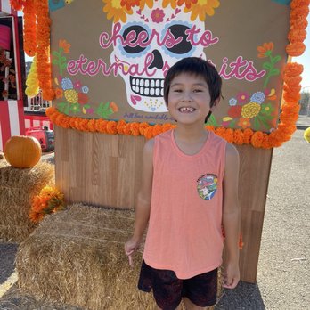 The Valencia Pumpkin - Pumpkin Patches Near Me - Santa Clarita, California The Valencia Pumpkin - Pumpkin Patches Near Me - Santa Clarita, California