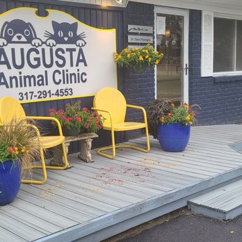 Augusta Animal Clinic - New Color and accessories are gorgeous. - Veterinarians Near Me - Indianapolis, Indiana Augusta Animal Clinic - New Color and accessories are gorgeous. - Veterinarians Near Me - Indianapolis, Indiana