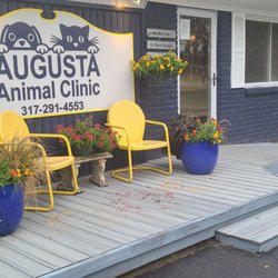 Augusta Animal Clinic - New Color and accessories are gorgeous.