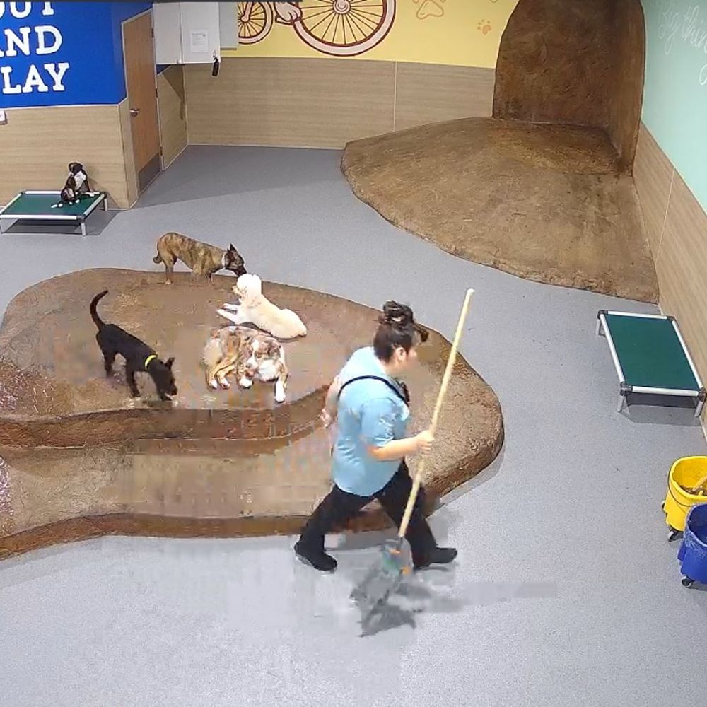 Smart Parke - Pet Boarding Near Me - Brea, California