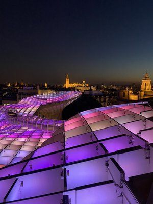 Setas de Sevilla by null