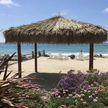 GardenWise Design - Diane, your landscape design and drought tolerant plant selections are absolutely gorgeous. You were so pleasant to work with. - Landscape Architects or Designers Near Me