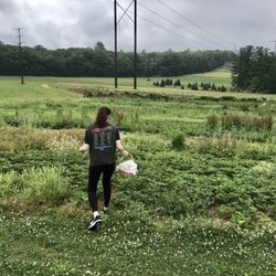 Graver's Orchards