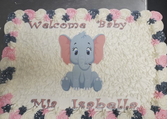 Absolutely Edible Cakes & Catering by null