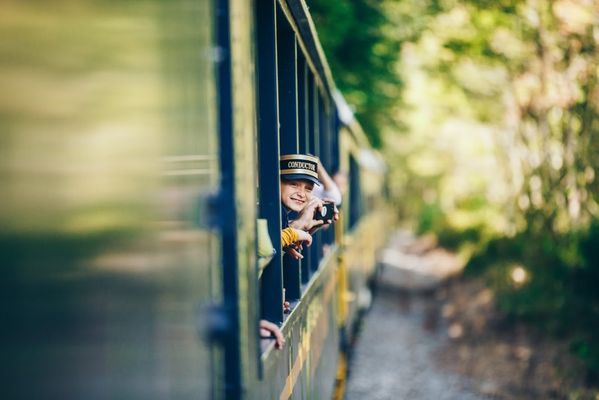 Blue Ridge Scenic Railway by null