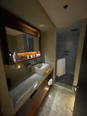 Las Suites Campos Eliseos by null