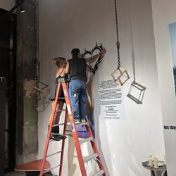 Oakland Handywoman