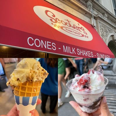 Scooter's Frozen Custard by null